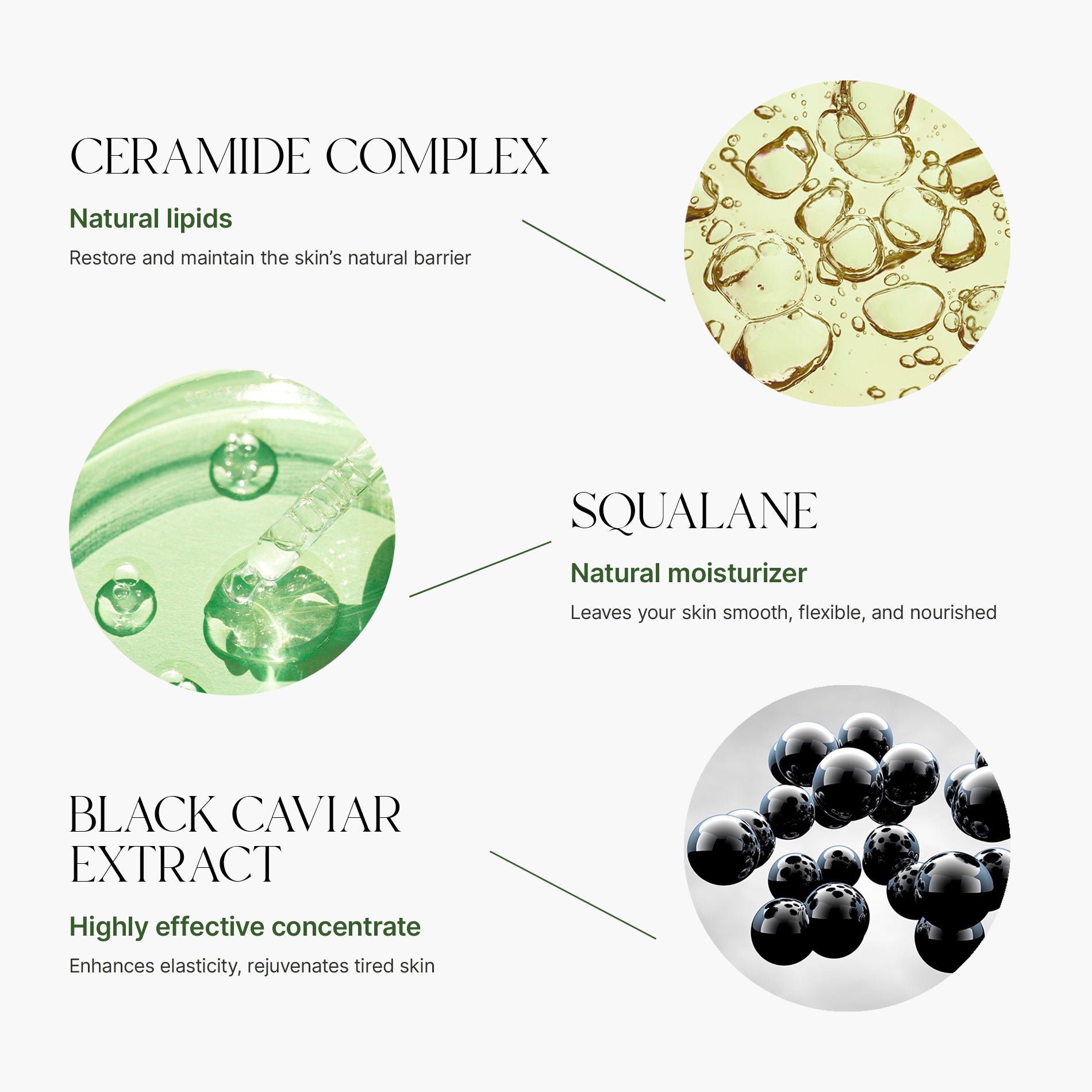 WCH COSMETICS ADVANCED REPAIR FACIAL CONCENTRATE